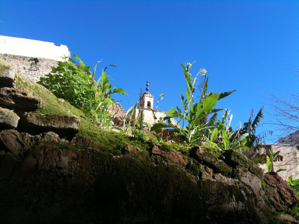 Riad Idrissy Fès Extérieur photo