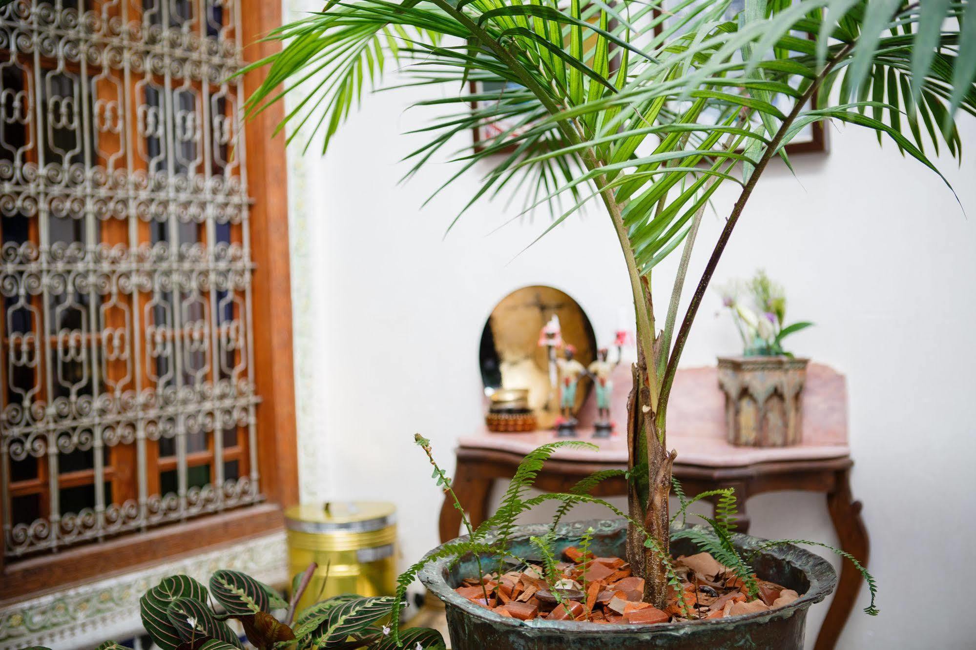 Riad Idrissy Fès Extérieur photo